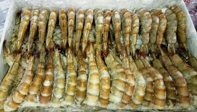 Креветка Тигровая 21/25 БЛОК  ИНДИЯ (1,8кг)